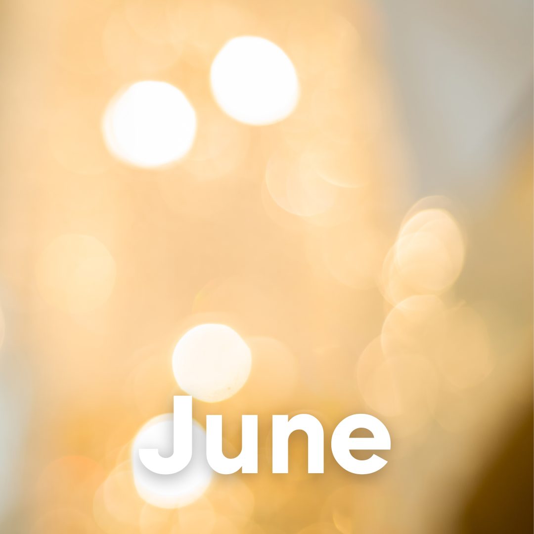 feb (1)